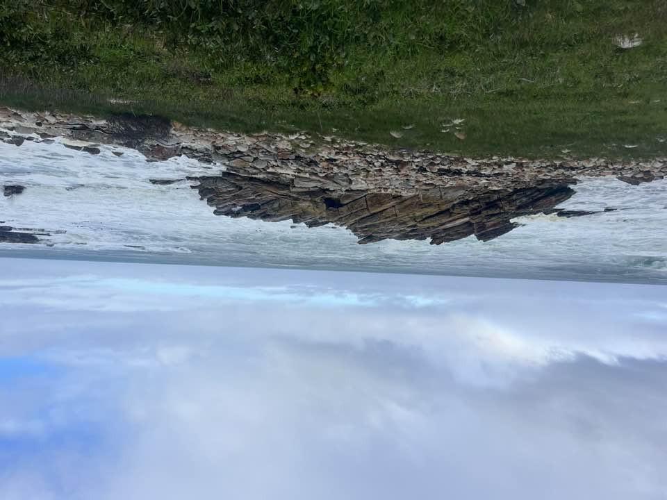 Nature by phone camera