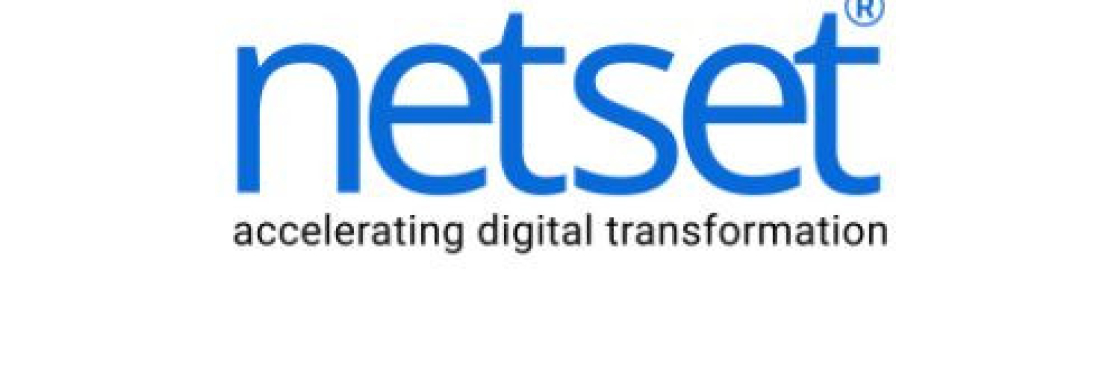 Netset Software Cover Image